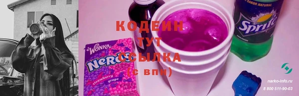 хмурый Козельск