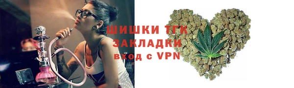 индика Козловка