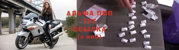 индика Козловка