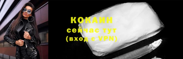 индика Козловка
