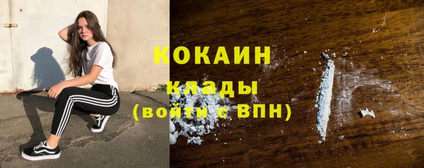 индика Козловка