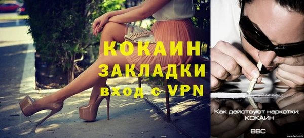 индика Козловка