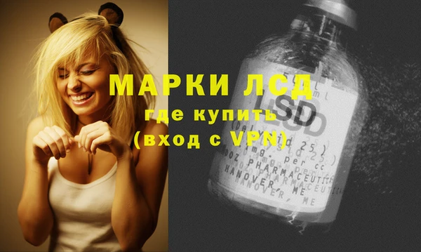 индика Козловка
